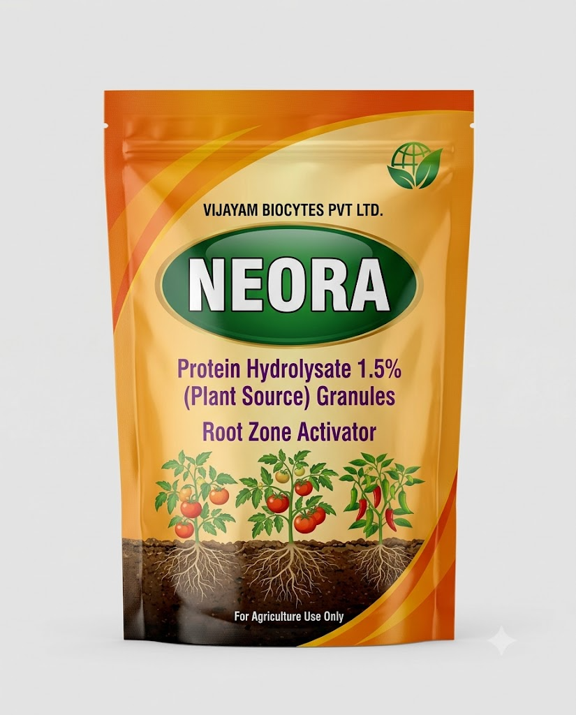 NEORA