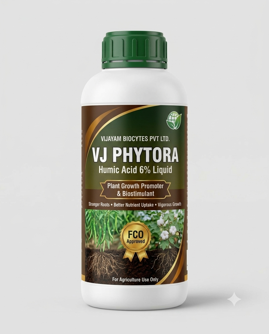 VJ PHYTORA