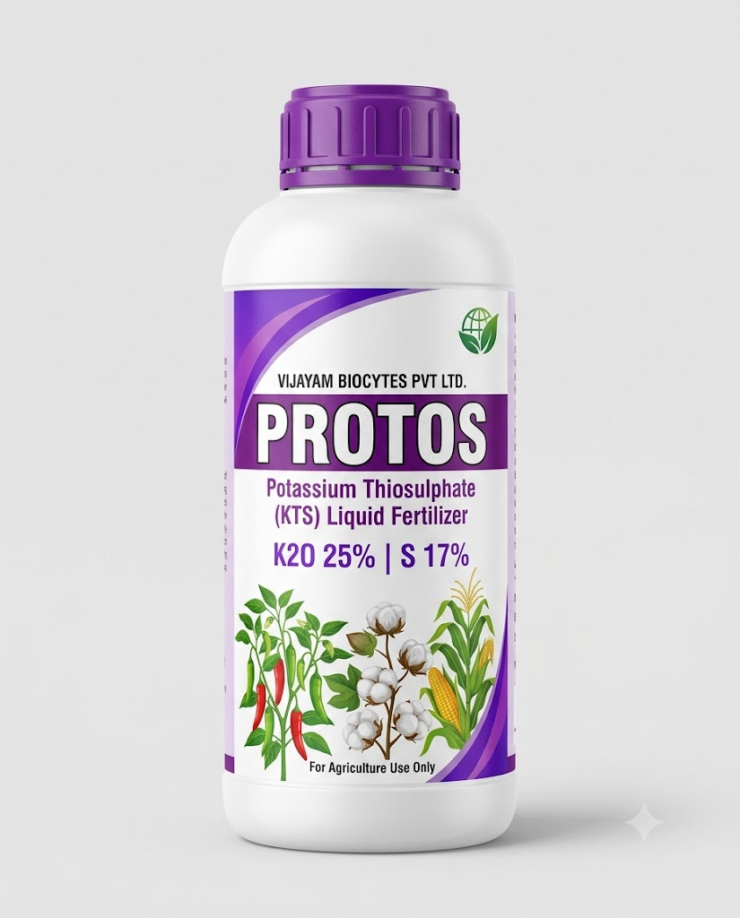 PROTOS