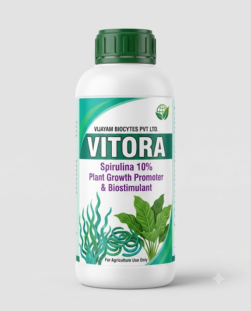 VITORA